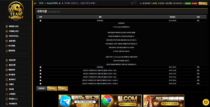 팀가지노 250생먹 이미지 2